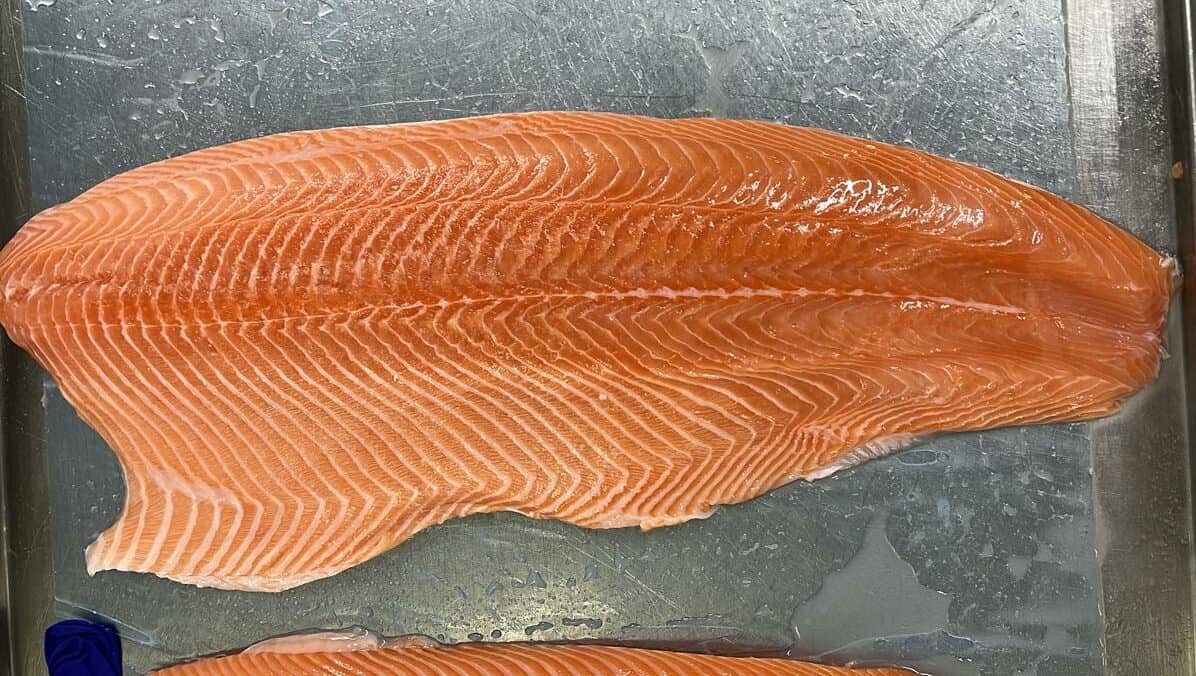 Fresh Salmon Fillet Trim D